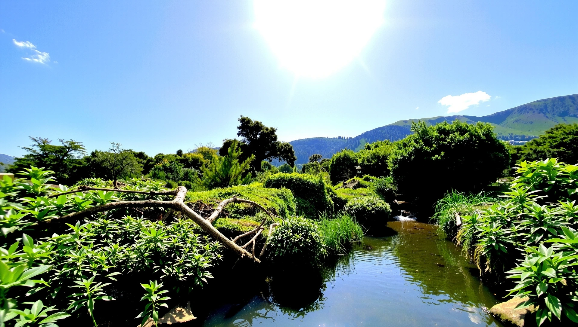 Lush green landscape with a gentle stream representing natural well-being